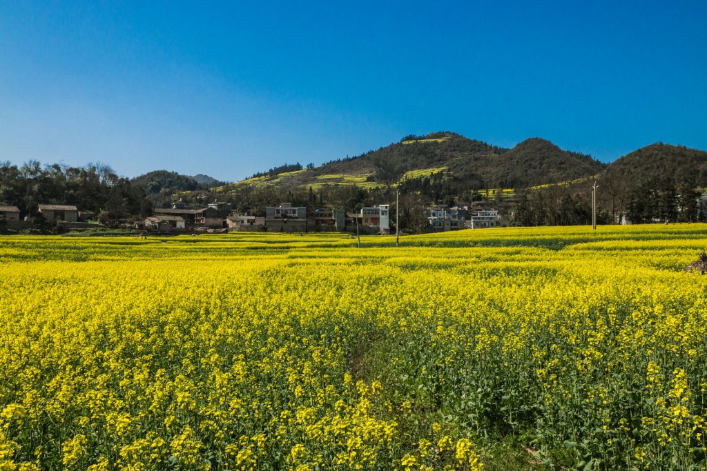 Während dem Tag sind die Farben am intensivsten, speziell als Kontraks zum blauen Himmel 