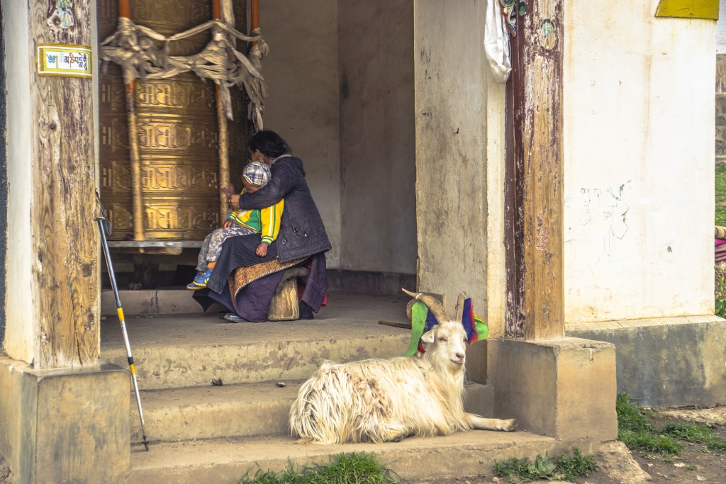 Tibetisches Stilleben: Grossmutter mit Enkel beim Beten