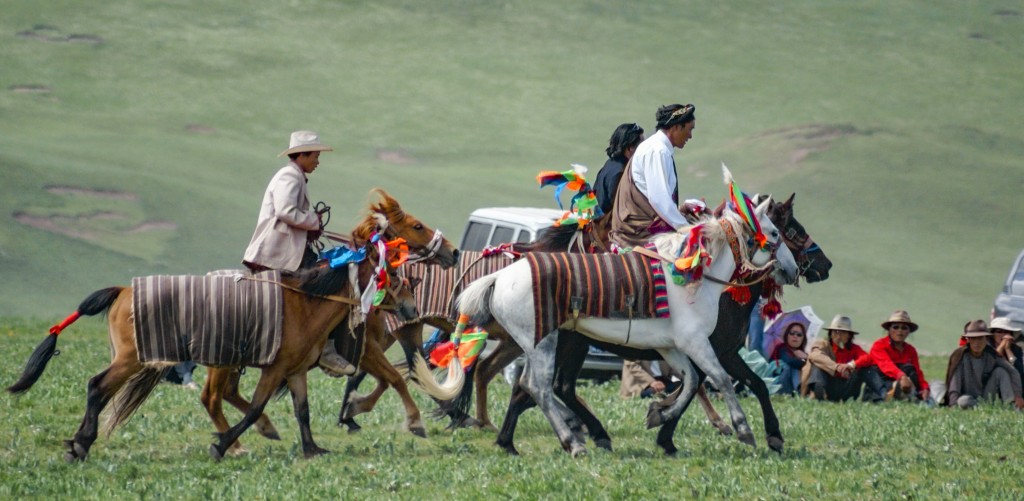 Nach dem ersten Lauf hiess es wieder zurück zum Start zu reiten