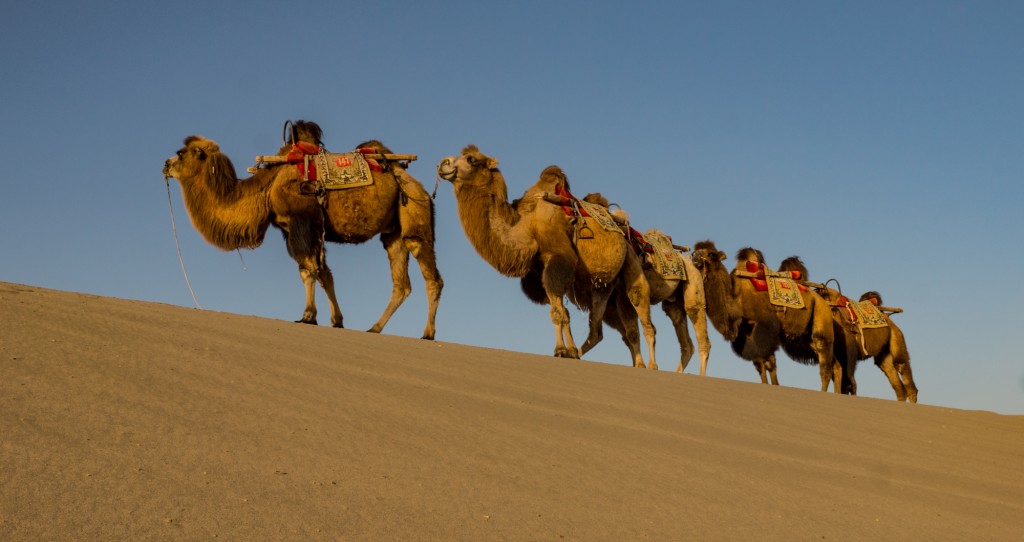 Kamelkarawanen gehoeren in Dunhuang zum Bild 