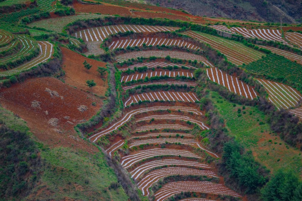 Feld Terrassen in Luoxiagou Redlands