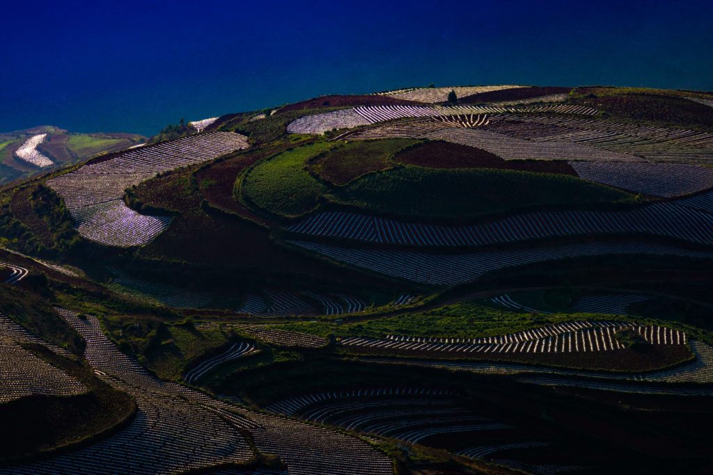Yunnan_Dongchuan_Red_Lands_luoxiagou_terrassen_morgen_licht_dunkel
