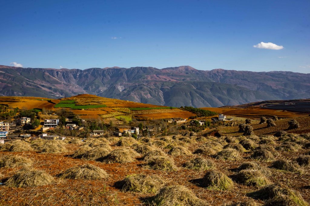 Im Herbst nach de Ernte in Jinxiu